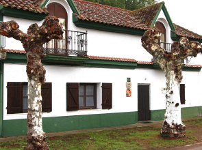 Apartamentos y Casas Victor