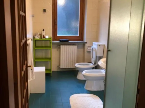 Il Pino Cembro