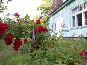 Annenhof Holiday House