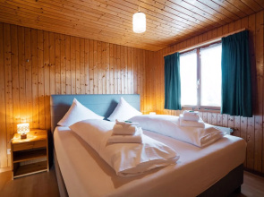 Apartment Bergdohle