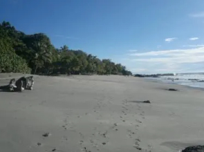 Los Mangos Hotel