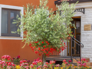 Hotel Natura