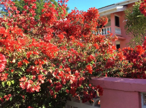 Gentle Breeze Apartments