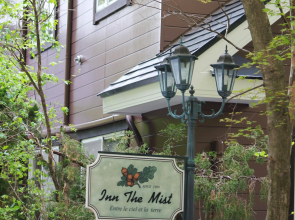 Inn the Mist