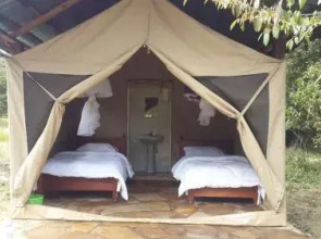 Masaimara Springs Camp