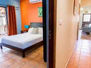 Little Jungle Apartments Aruba