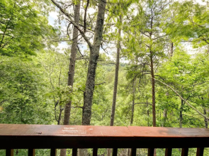 Sevierville Cabin w/ Hot Tub, Views & Pool Access!