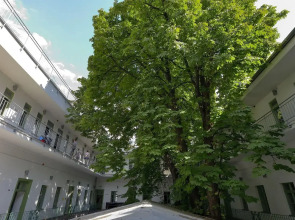 The Hive Party Hostel