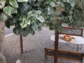 Podere Giuliano