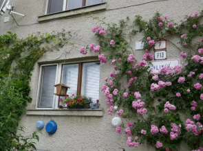 Apartment at Sedliacky Dvor - Brezno