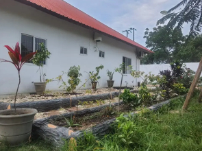Coral nungwi and restaurant
