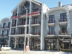 2 room apartment in Bakuriani