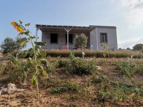Zeus Kir Evi