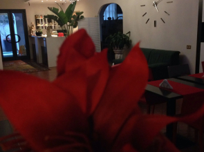 Hotel La Rosetta