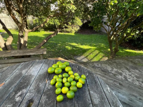 NO PARTY ALLOWED, Peaceful, Spacious, central Petone, free unlimited Fibre Wi-Fi & free parking