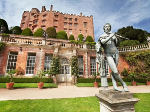 Bluebell at Gaer Fawr