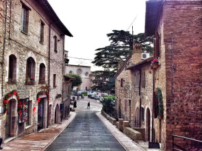 I Colori Di Assisi