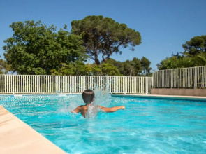 Domaine De La Navicelle - Oiseaux 2