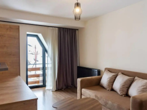 Bright and Cozy 1BR Apartment In Marshall Gudauri Project