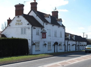 The Stag