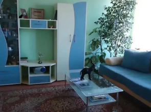 Apartment Toni