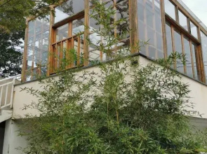 Sanjian Shuishe Guesthouse