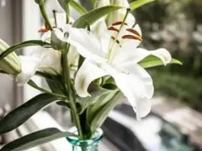 Sabor da Saudade Apartment