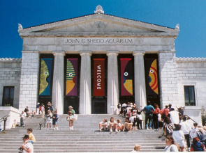 Chicago Getaway Hostel