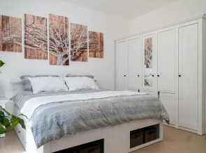 Beautiful Apartment in town centre (TLA/TDY/TLF)