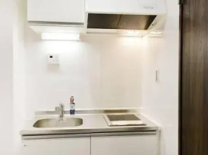 Funkey Apartment in Shinjuku 519539
