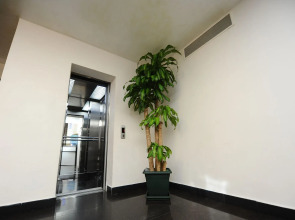 Отель «Аиси»