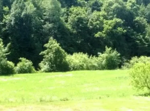 Lahinja & Kolpa river apartments