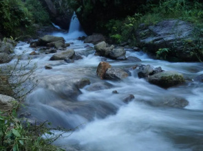 Tathagata Farm