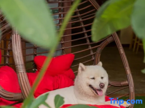 Xishuangbanna Xinyu Inn