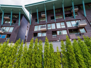 Timber view apartment Silver Mountain Poiana Brasov