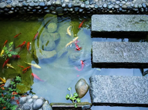 Dali Ziqing Guest House