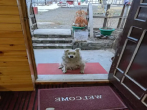 Shruti Guest House