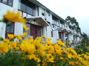 Hillon Resorts