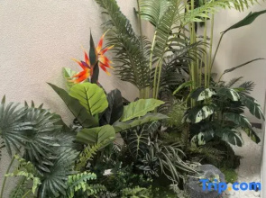 Shangye Mingyuan Homestay