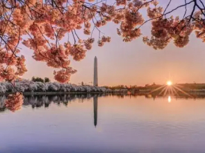 Midcentury Design in the Heart of DC - 2Bdrm+2Bath