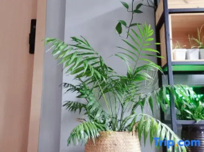 Xiangshan Bieju Yige Homestay