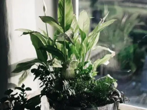 Saddleworth Holiday Cottages