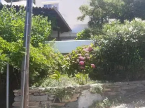 Stella's House