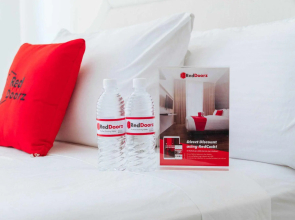 RedDoorz @ S & L Apartelle Daraga Albay