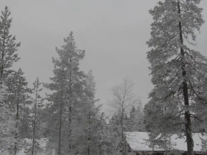Saariselkä Inn Log Cabins