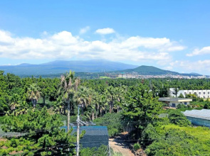 Marine Port Resort