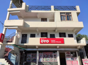 OYO 14420 Hotel Green Woods