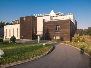 Silver Mountain