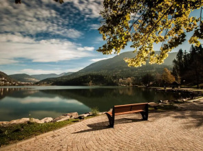 Guest House Dolomiti