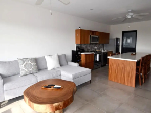 Agaves 203